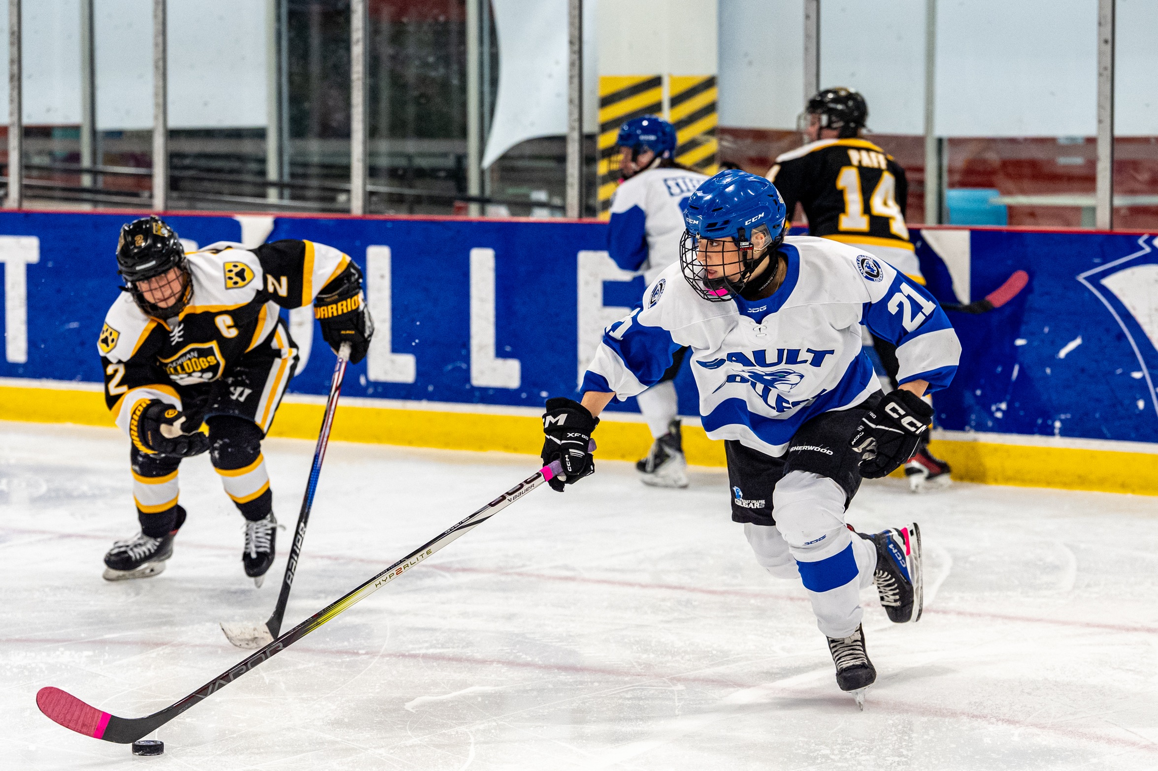 Cougars Women&rsquo;s Hockey to Host Two-Day Holiday Skills Clinic